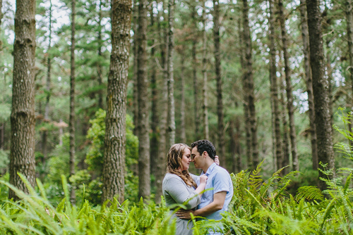 Shimla Manali By Volvo & Car 