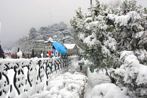 Shimla By Volvo & Car