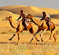 Rajasthan Tour Package
